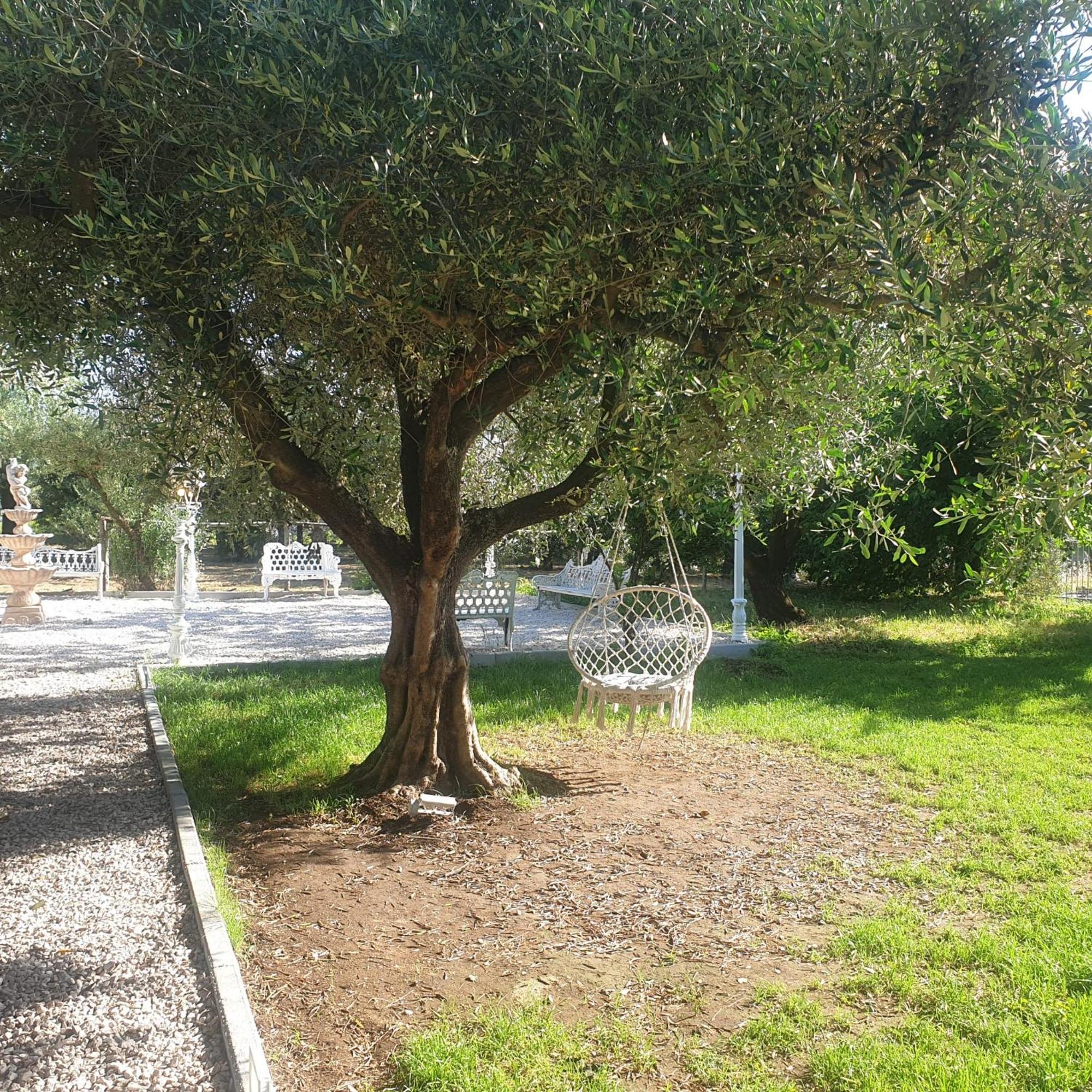 Tenuta Oliva Fisciano Dış mekan fotoğraf
